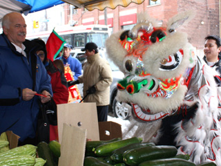 53. Lions in Toronto Streets