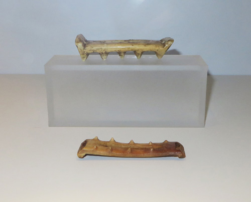 Ivory crampons at Bata Shoe Museum. Image Copyright ©2016 Ruth Lor Malloy